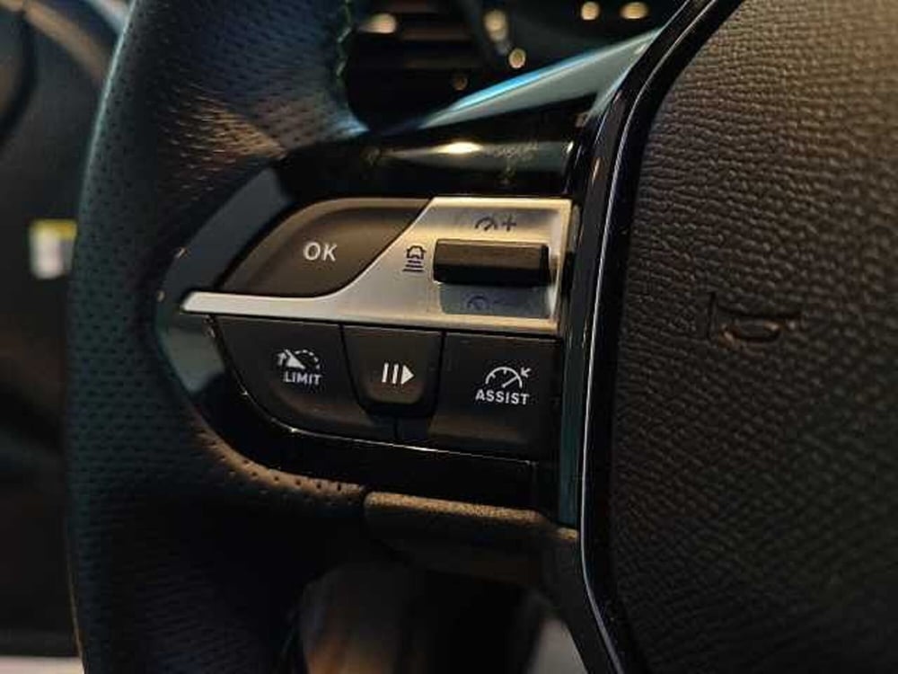 Peugeot 308 SW usata a Forlì-Cesena (18)
