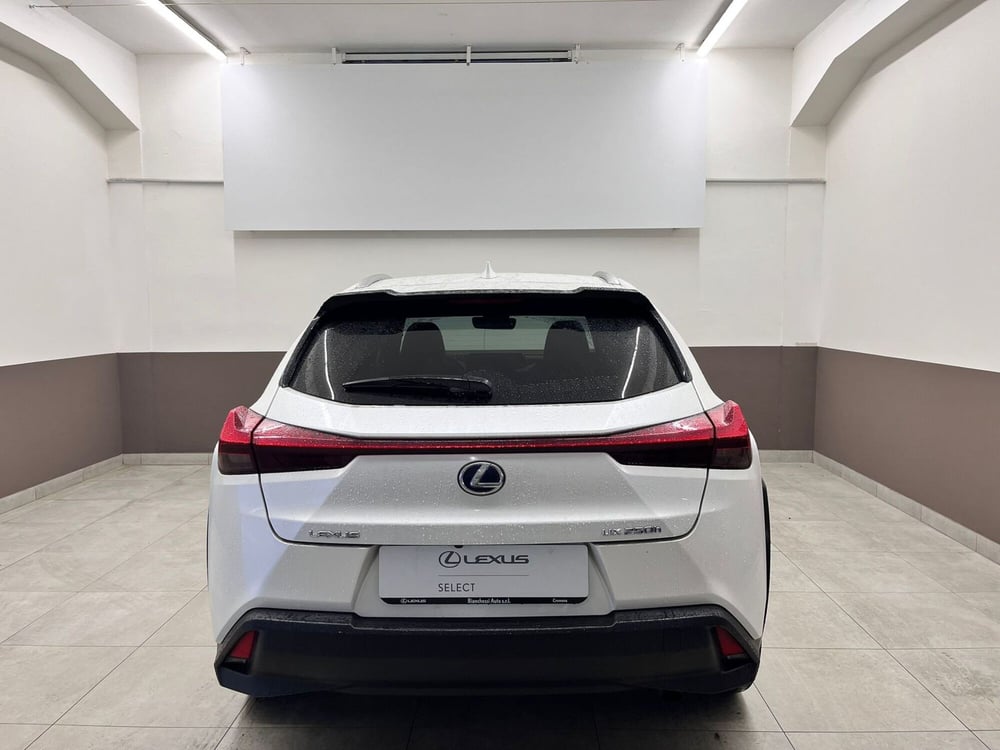 Lexus UX usata a Cremona (4)