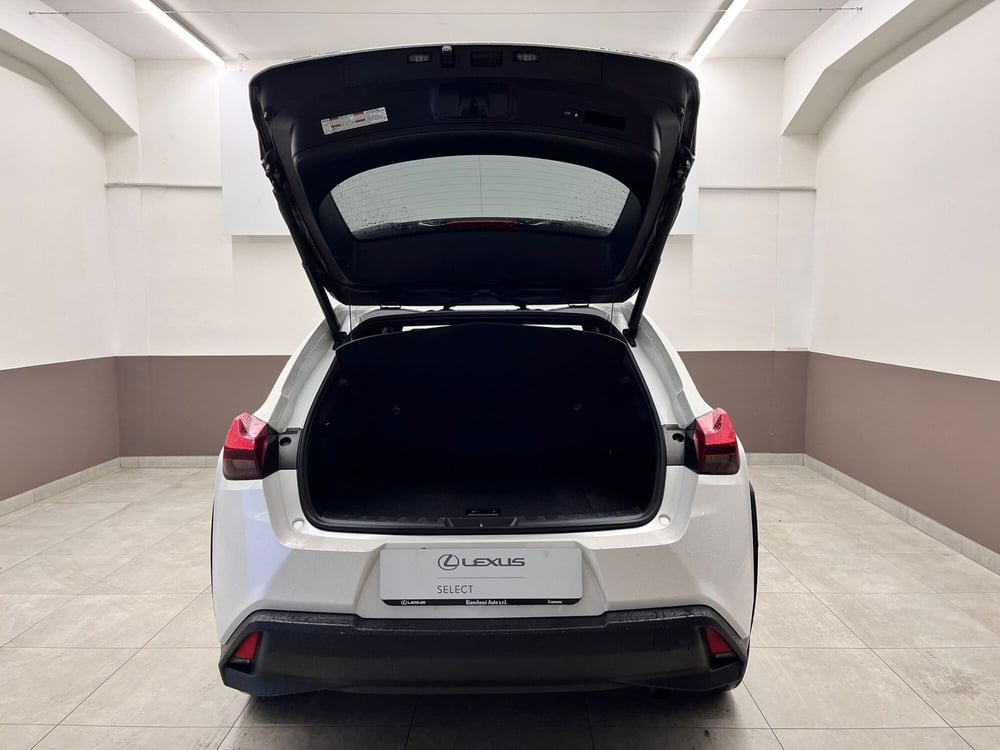 Lexus UX usata a Cremona (6)