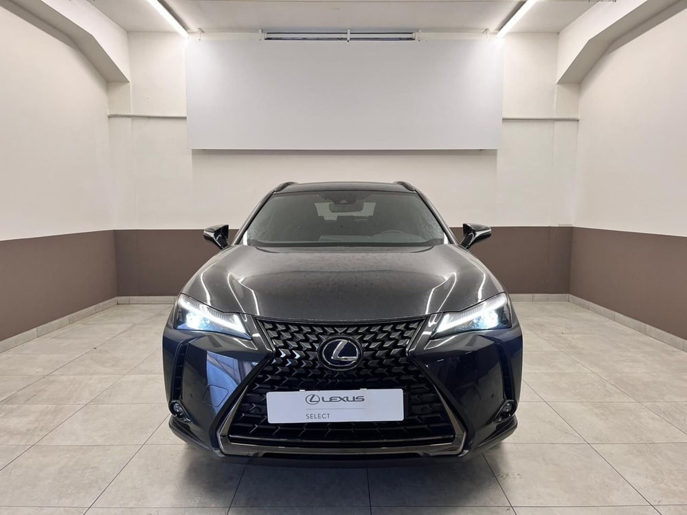 Lexus UX usata a Cremona