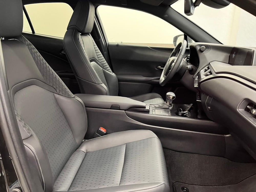 Lexus UX usata a Cremona (11)
