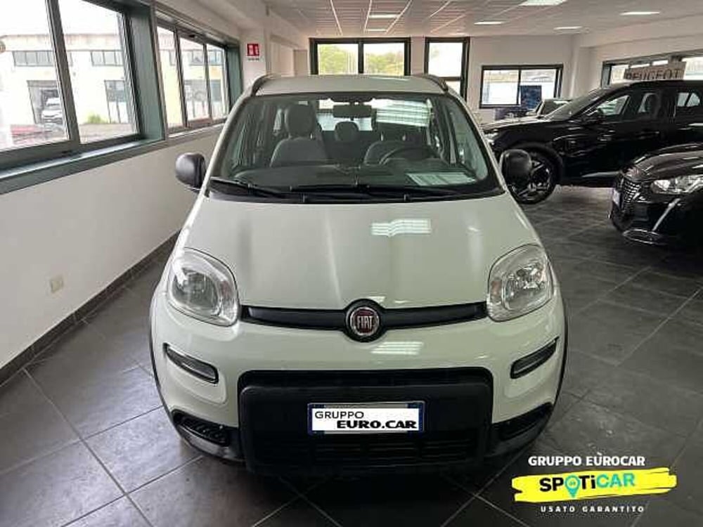 Fiat Panda usata a Roma (2)