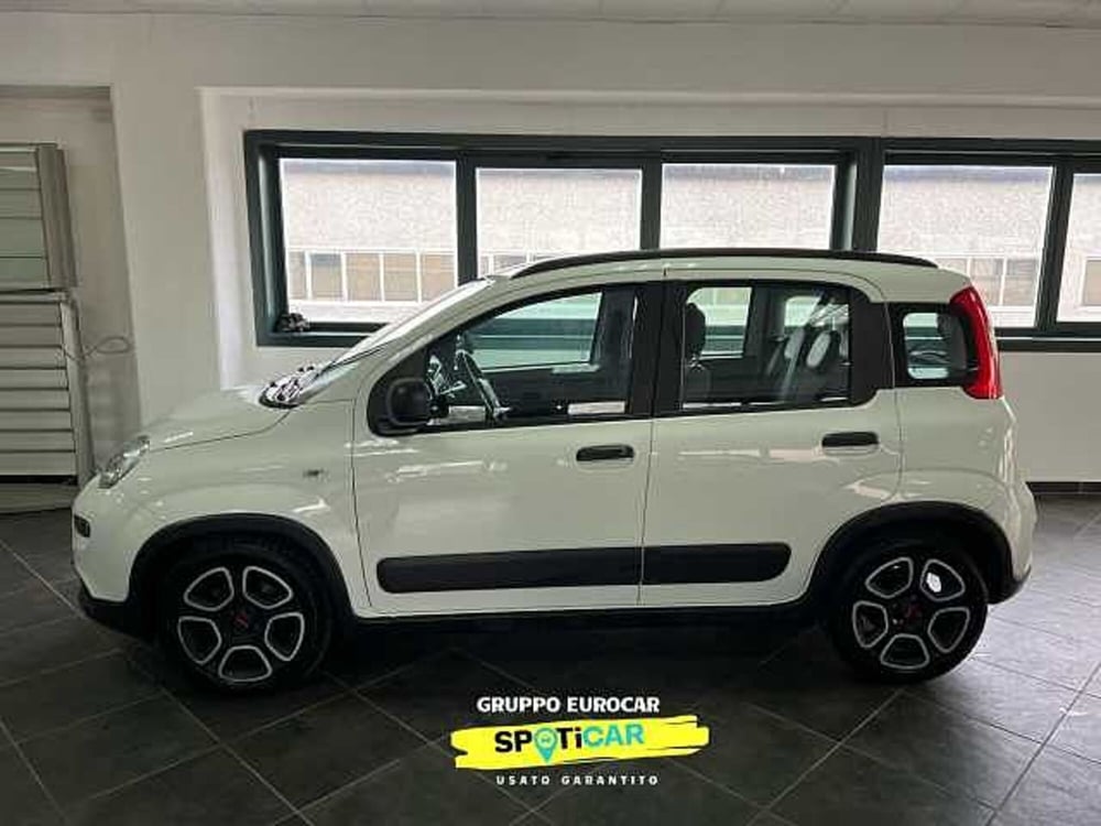 Fiat Panda usata a Roma (7)