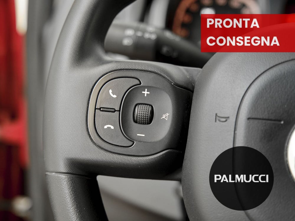 Fiat Panda Cross usata a Prato (13)