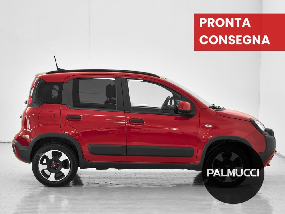 Fiat Panda Cross usata a Prato (3)