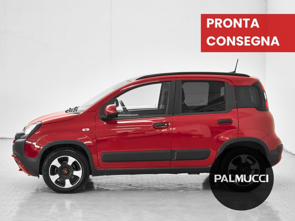 Fiat Panda Cross usata a Prato (5)