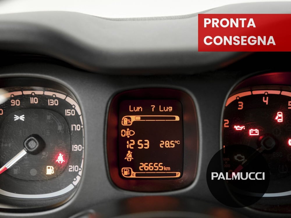 Fiat Panda Cross usata a Prato (6)