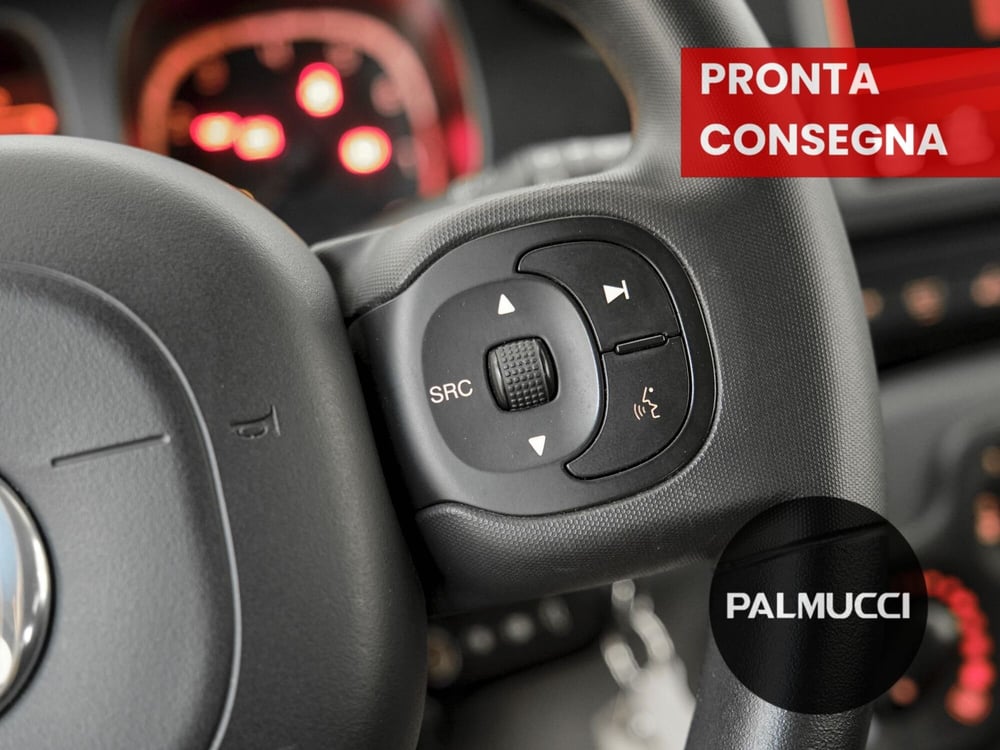 Fiat Panda Cross usata a Prato (8)