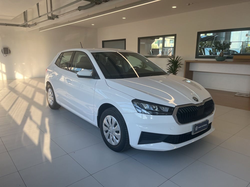 Skoda Fabia usata a Salerno (5)