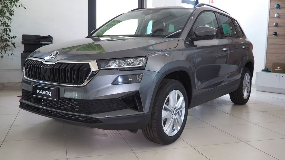 Skoda Karoq nuova a Torino (2)