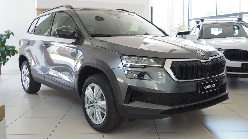 Skoda Karoq nuova a Torino (5)