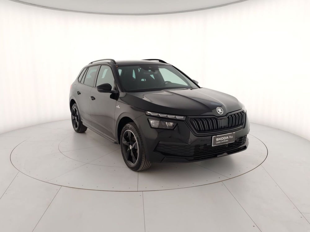 Skoda Kamiq usata a Massa-Carrara (4)