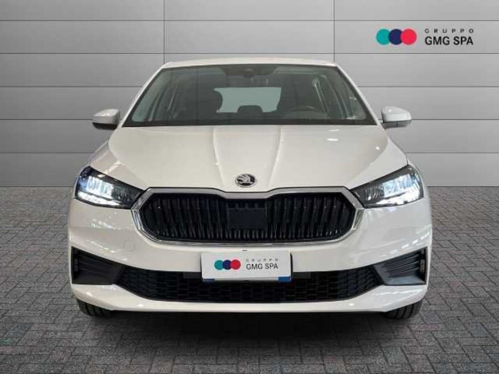 Skoda Fabia usata a Pistoia (2)