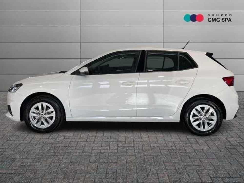 Skoda Fabia usata a Pistoia (5)