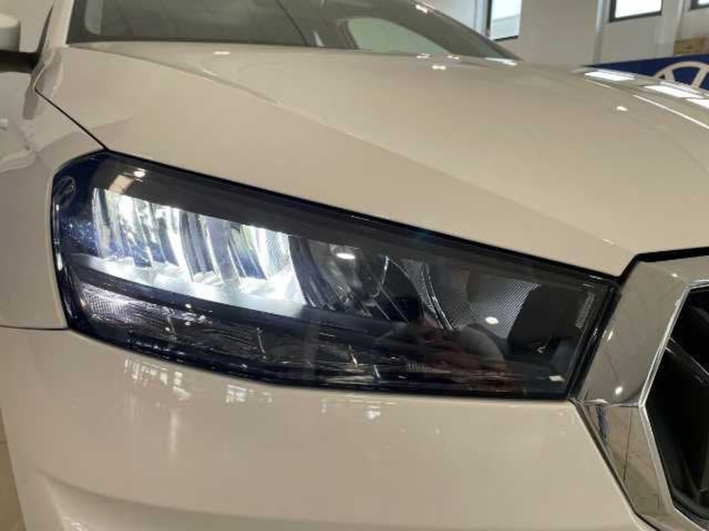 Skoda Fabia usata a Pistoia (7)