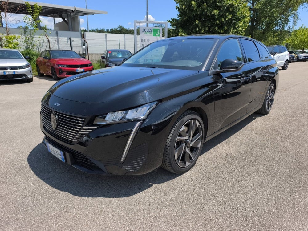 Peugeot 308 SW usata a Frosinone (2)