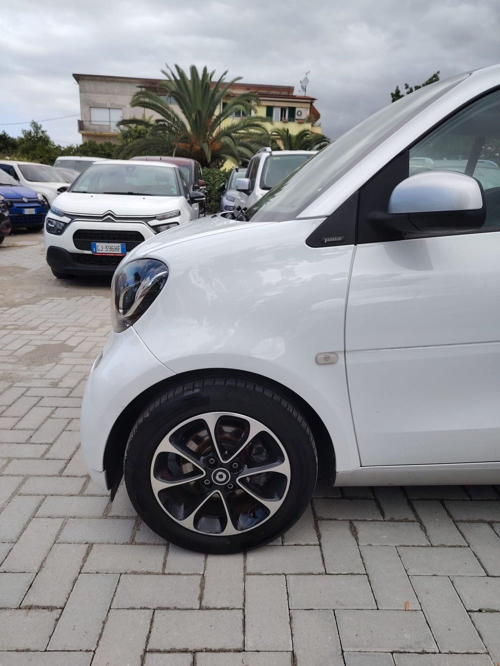 smart Fortwo usata a Massa-Carrara (10)