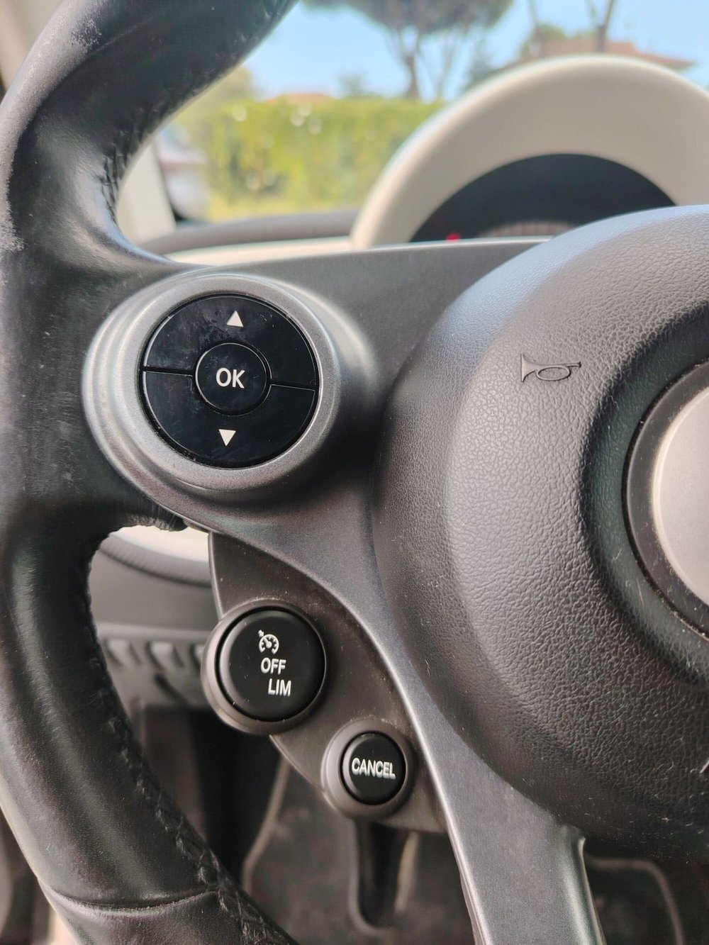 smart Fortwo usata a Massa-Carrara (15)