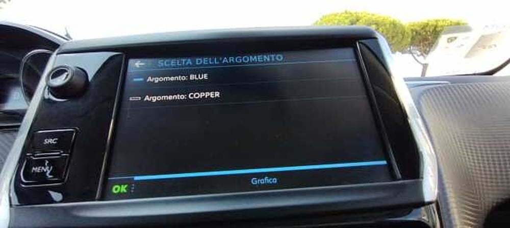 Peugeot 2008 usata a Viterbo (18)