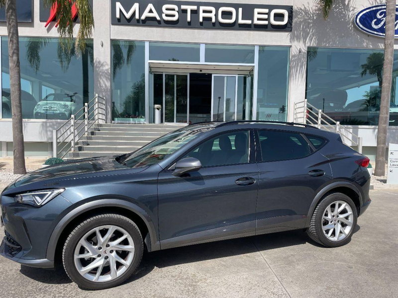 Cupra Formentor usata a Lecce (3)