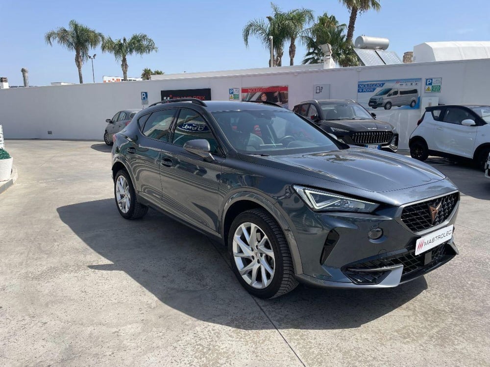Cupra Formentor usata a Lecce (7)