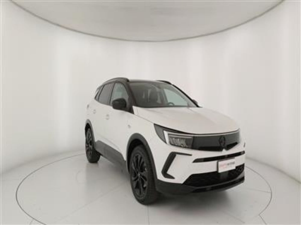 Opel Grandland usata a Bari (11)