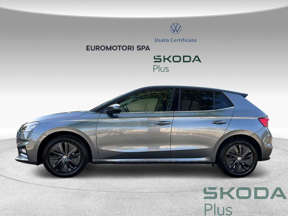 Skoda Fabia usata a Grosseto (2)