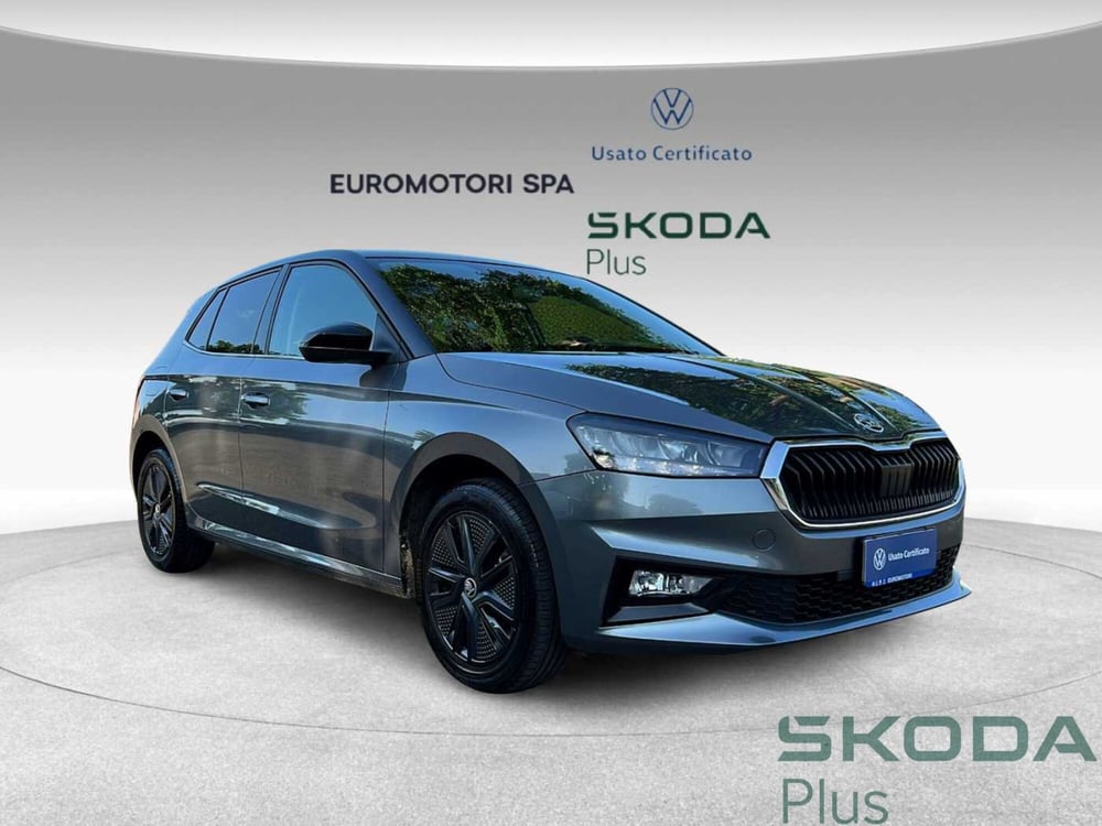 Skoda Fabia usata a Grosseto (6)