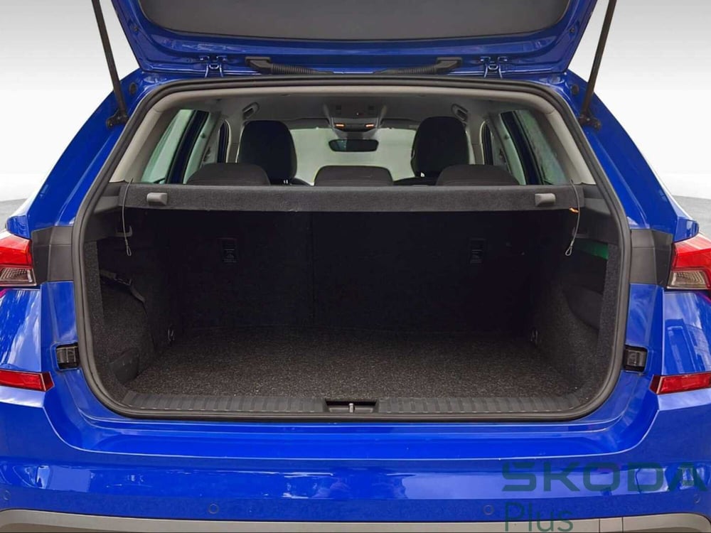Skoda Kamiq usata a Grosseto (15)