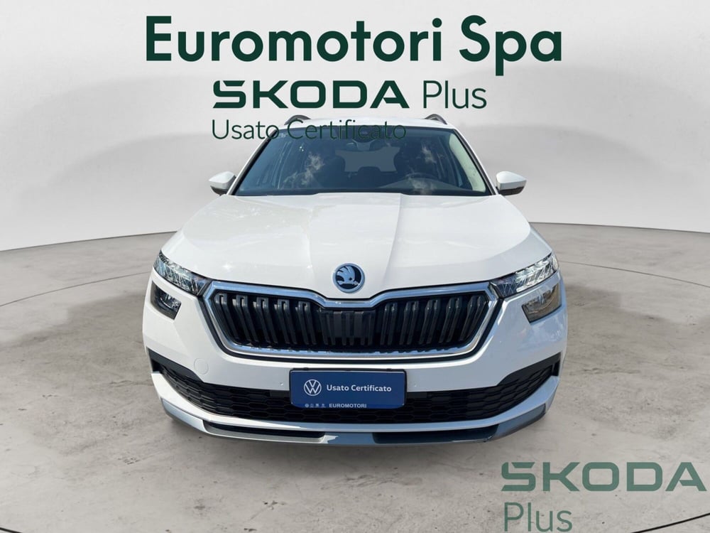 Skoda Kamiq usata a Grosseto (16)