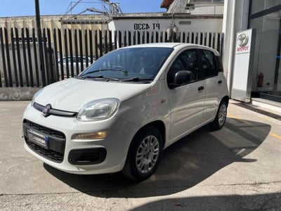 Fiat Panda 1.2 Easy del 2017 usata a Sassari