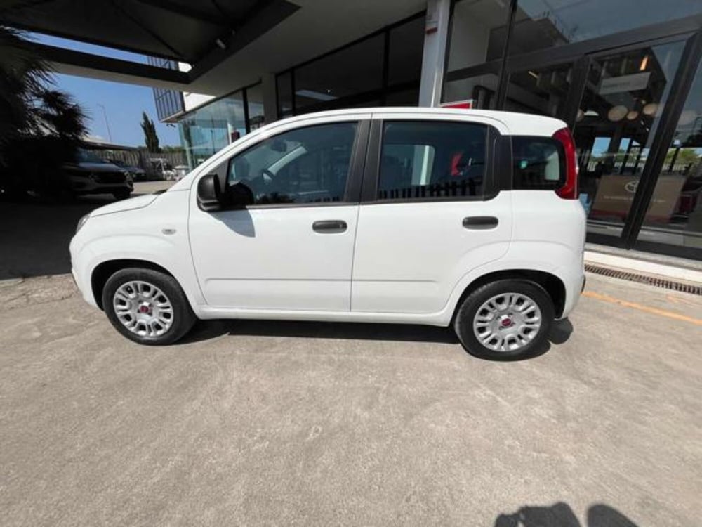 Fiat Panda usata a Sassari (4)