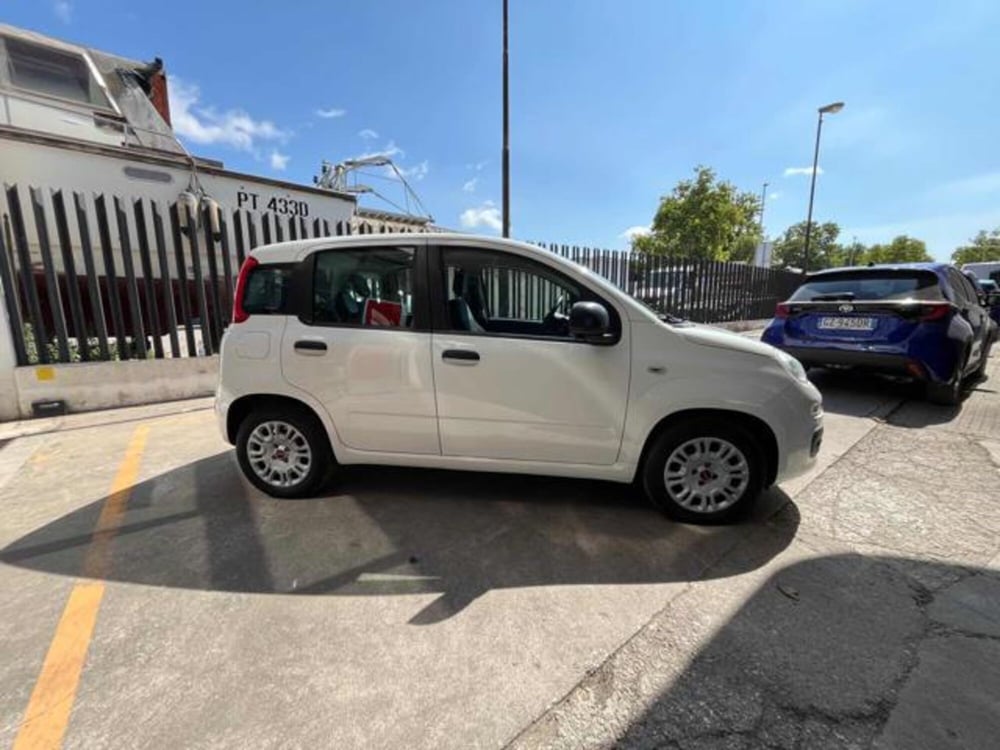 Fiat Panda usata a Sassari (5)