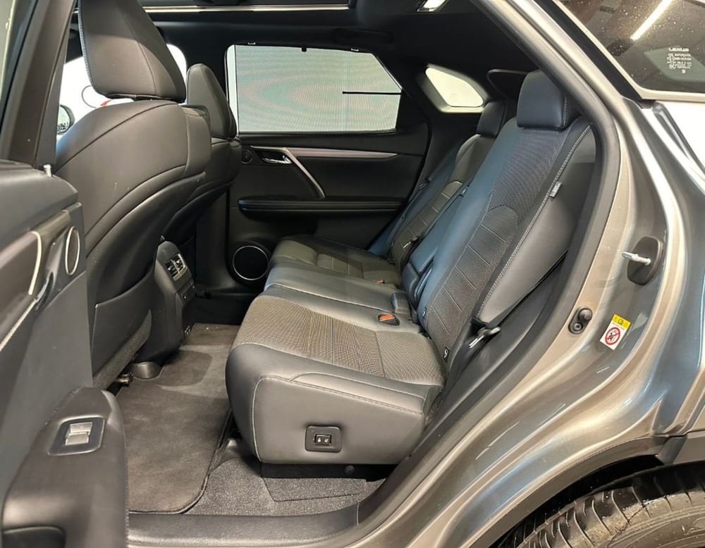 Lexus RX usata a Ferrara (6)