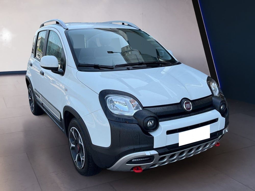 Fiat Panda usata a Torino (3)