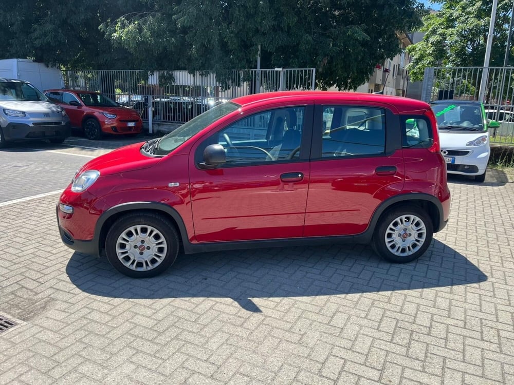 Fiat Panda Cross usata a Milano (4)