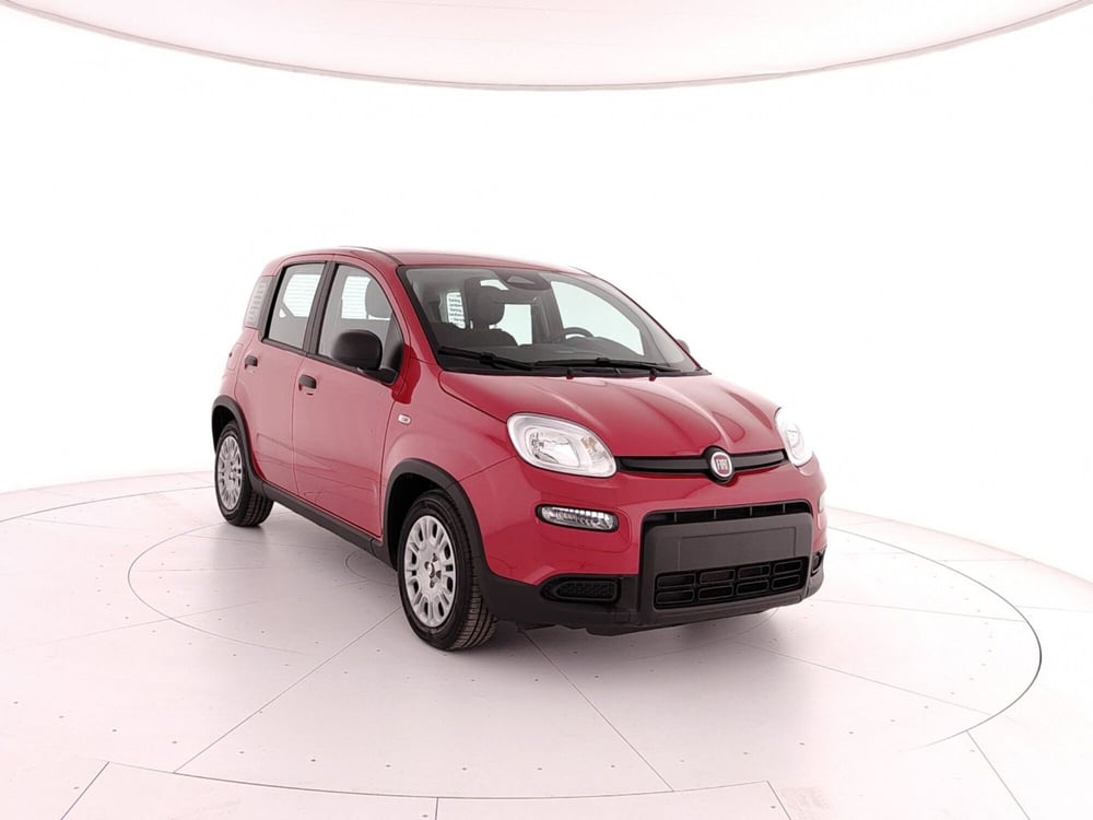 Fiat Panda nuova a Caserta