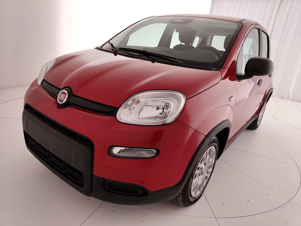 Fiat Panda nuova a Caserta (13)