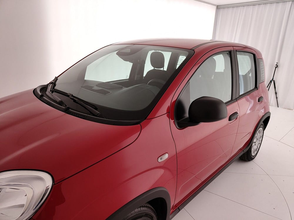 Fiat Panda nuova a Caserta (14)