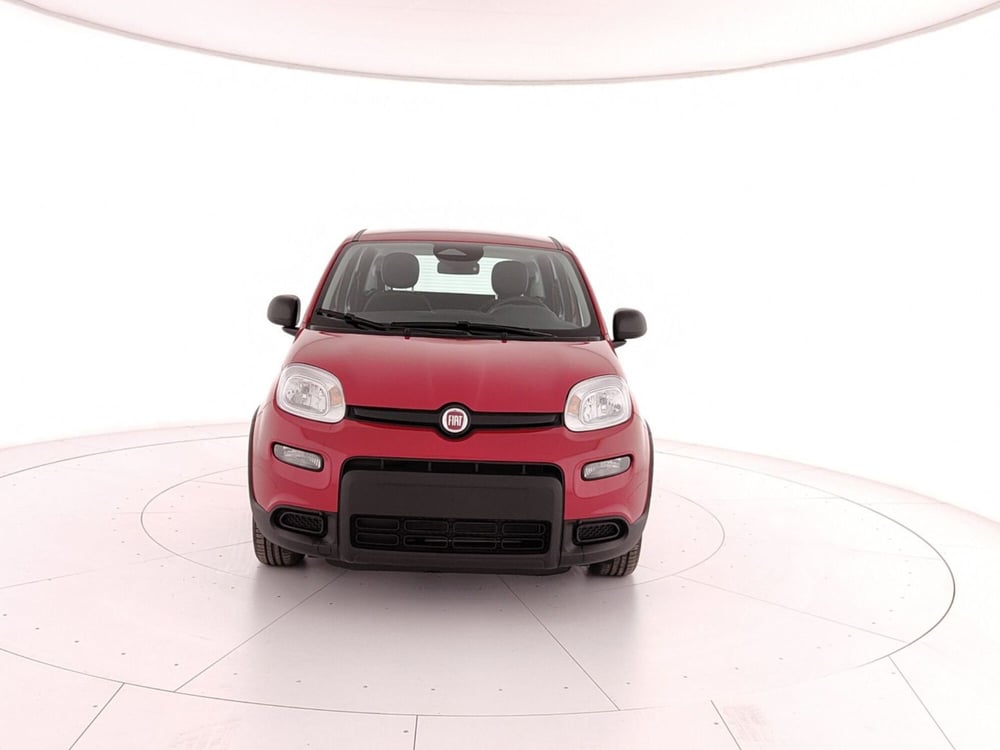 Fiat Panda nuova a Caserta (2)