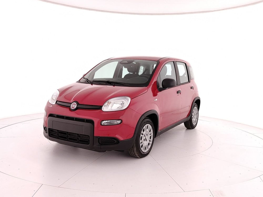 Fiat Panda nuova a Caserta (3)