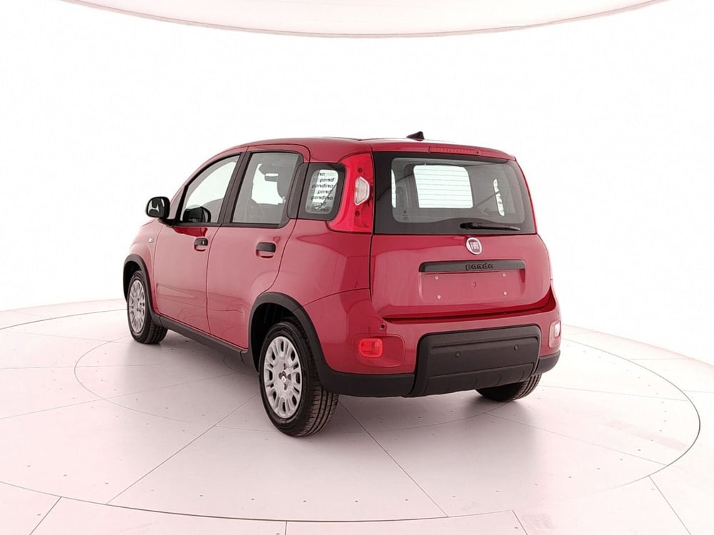 Fiat Panda nuova a Caserta (4)