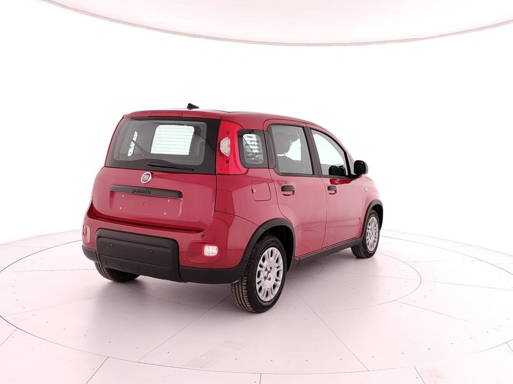 Fiat Panda nuova a Caserta (6)