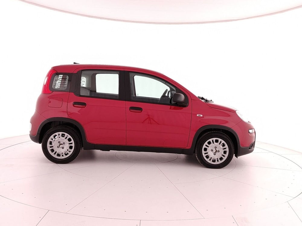 Fiat Panda nuova a Caserta (7)