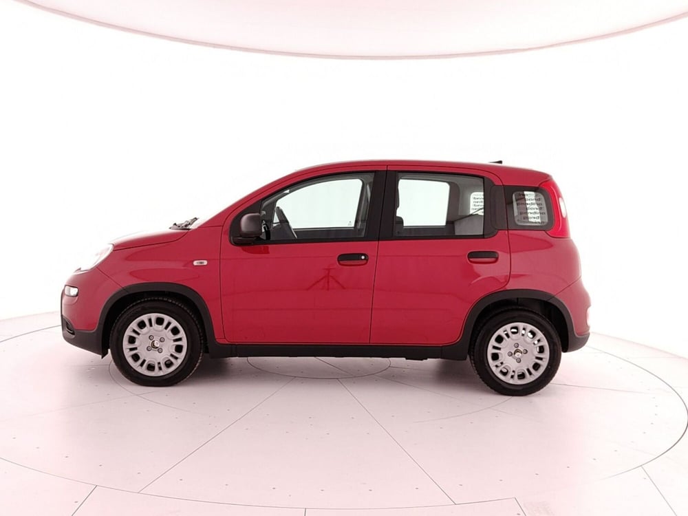 Fiat Panda nuova a Caserta (8)