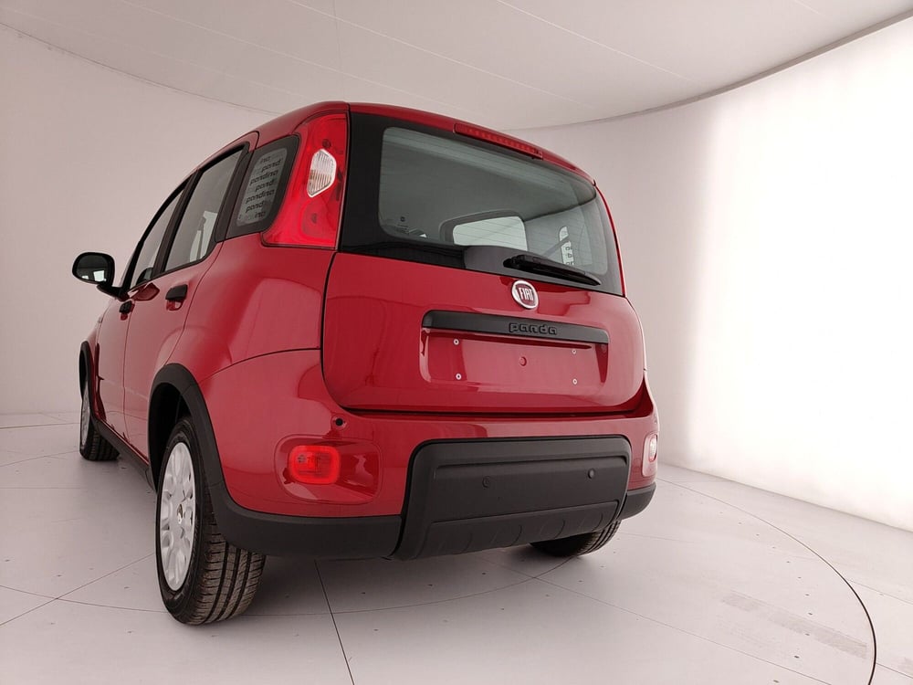 Fiat Panda nuova a Caserta (9)