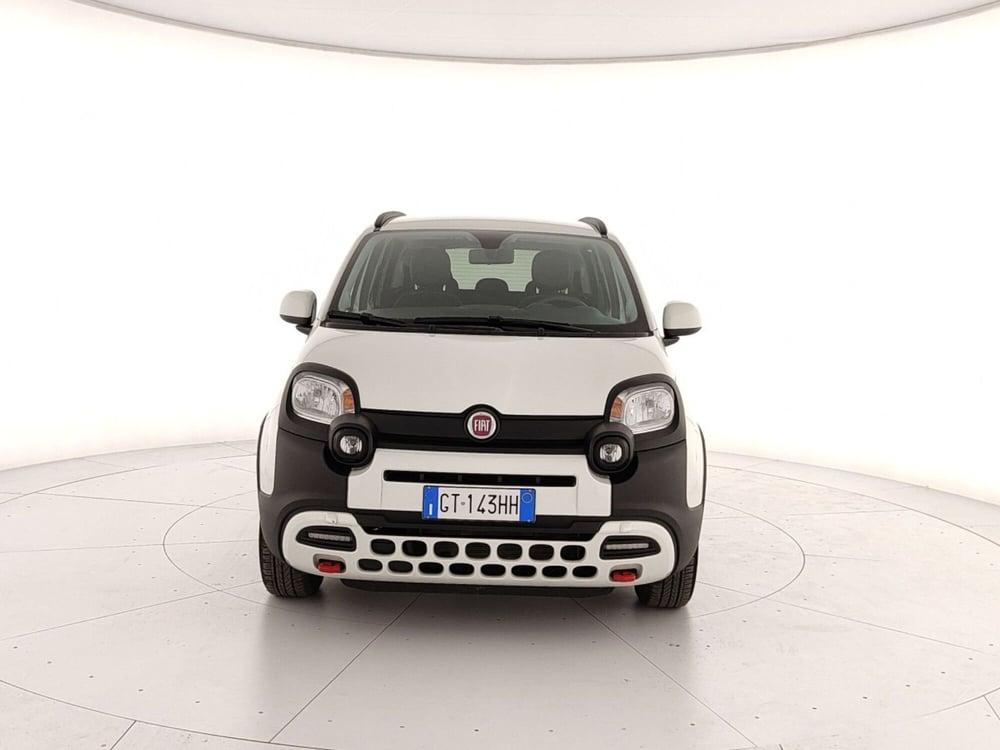 Fiat Panda Cross usata a Caserta (2)