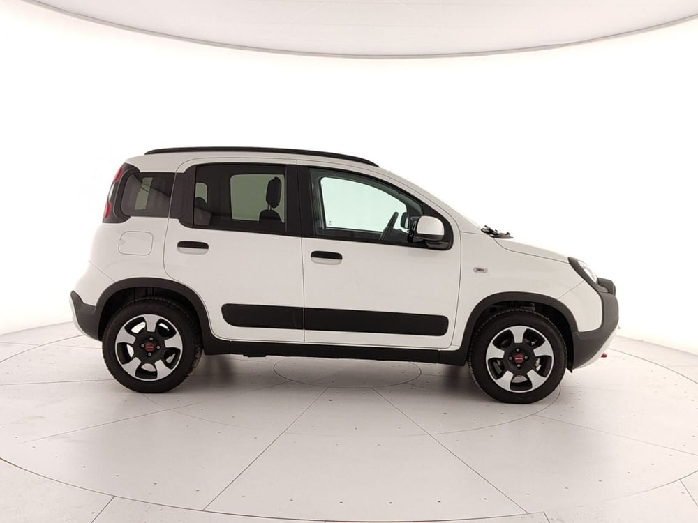 Fiat Panda Cross usata a Caserta (7)