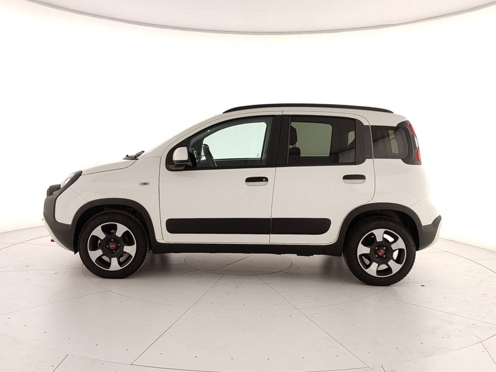 Fiat Panda Cross usata a Caserta (8)