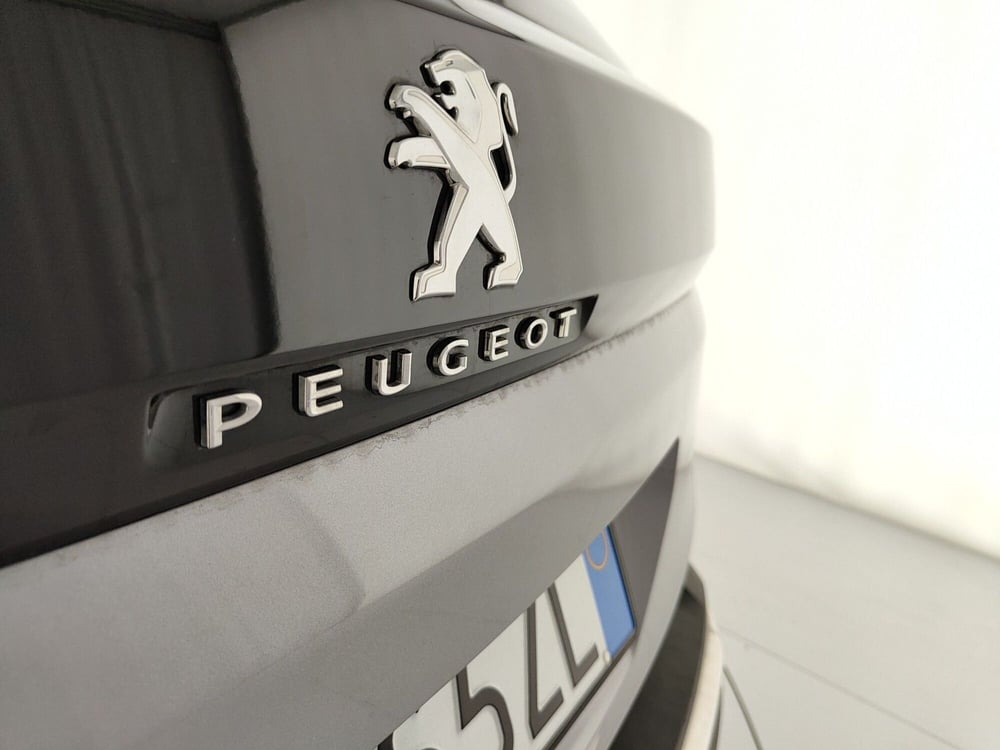 Peugeot 3008 usata a Caserta (10)